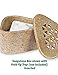 Soapstone Fruit Fly Trap Holder