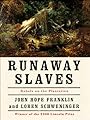 Runaway Slaves: Rebels on the Plantation