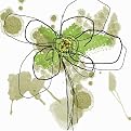 Weiss Butterfly Flower I Canvas Giclee - 16x16"