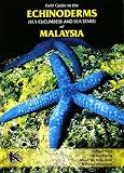 Field Guide to the ECHINODERMS〈Sea Cucumbers and Sea Stars〉of MALAYSIA