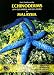 Field Guide to the ECHINODERMS(Sea Cucumbers and Sea Stars)of MALAYSIA