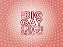 The Big Gay Sketch Show
