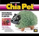 Chia Pet Handmade decorative Planter- Pig
