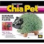 Chia Pet Handmade decorative Planter- Pig