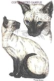Siamese - Double Image by Cindy Farmer