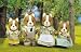 Sylvanian Families Hound Dog Family
