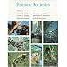 Primate Societies