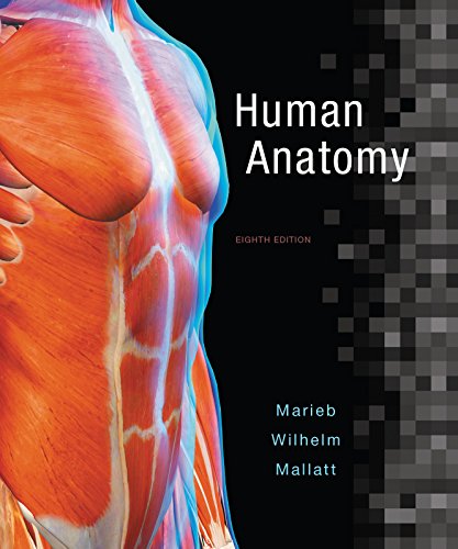 Human Anatomy