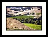 Great American Picture IS652972 Vineyard View Artea Winery, Napa Valley Framed Photograph - Walter B