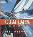 Book College Algebra (2nd Edition)