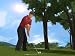 Tiger Woods PGA Tour 2003 Classic  (PC)