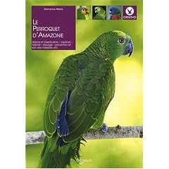 Le perroquet d'Amazonie