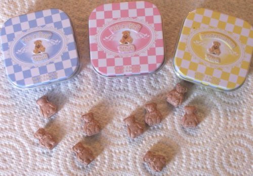 Blue Chocolate Mint Bears Mint Tins by Escape Concepts