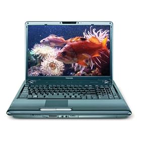 Toshiba Satellite P305-S8838 Laptop