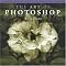Photoshop Professional Guides
