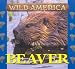 Wild America - Beaver (Wild America)