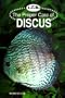 The Proper Care of Discus