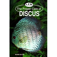 The Proper Care of Discus