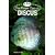 The Proper Care of Discus