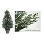 24" Artificial Snowy Glitter Potted Arborvitae Tree - Indoor/Outdoor