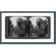Historic Print (L): Residence of Senator [Leland] Stanford, wrecked by the terrible earthquake, Palo Alto, C