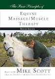 The Basic Principles of Equine Massage Muscle Therapy