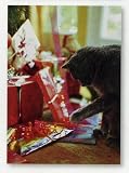 Pet Lovers Holiday Christmas Greetings Cards - Cat Playing Under the Tree - Set of 18