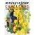 "Watercolour Challenge": Practical Painting Course