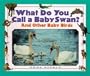 What Do You Call a Baby - Swan? And Other Baby Birds