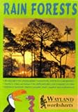 Rain Forests (Wayland Worksheets)