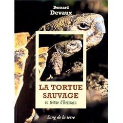 La Tortue sauvage