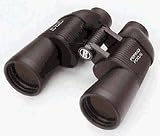 Bushnell