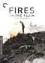 Fires on the Plain (Criterion Collection)