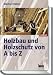 Holzbau und Holzschutz von A bis Z