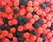 Gummi Black and Red Raspberries 5lb