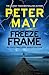 Freeze Frame (The Enzo Files, 4)