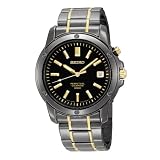 Seiko Men's Perpetual Calendar Negroid Ion Watch #SNQ045