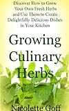 Growing Culinary Herbs
