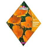 [春・秋まき　ハナビシソウ・花菱草　花タネ]カリフォルニアンポピーピュアオレンジ 1袋