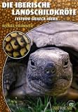 Produkt-Bild: Die Iberische Landschildkr&ouml;te: Testudo graeca ibera