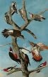 Audubon Woodpeckers Wooden Jigsaw Puzzle