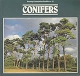 Conifers