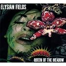 Queen Of The Meadow