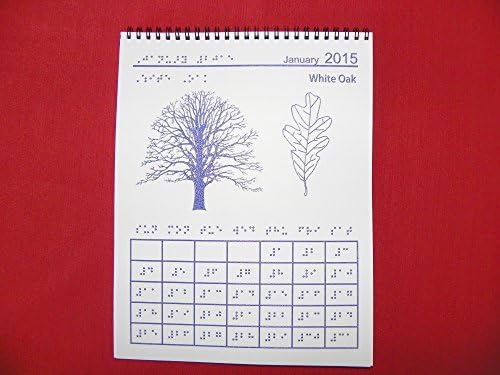 Braille Calendar 2015