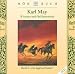 Winnetou und Old Shatterhand, Audio-CDs, Tl.2, Die Jagd auf Santer, 2 Audio-CDs