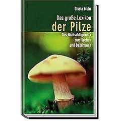 Das gro�e Lexikon der Pilze. Das Nachschlagewerk zum Suchen und Bestimmen