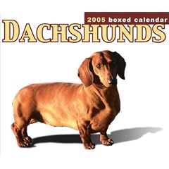 Dachshunds 2005 Boxed Calendar