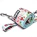 Blueberry Pet 9 Patterns Durable Spring Scent Inspired Floral Rose Baby Pink Dog Leash 4 ft x 1