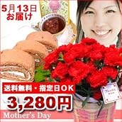 m100荻野さんちの赤いカーネーション花鉢 ブラウンバスケット入り