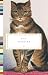 Cat Stories (Everyman's Pocket Classics)